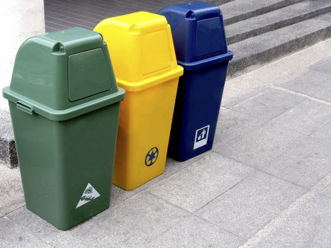 Professional waste removal service in action